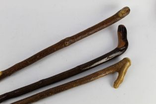 Three wooden shafted walking sticks, largest 148 cm, smallest 116 cm.