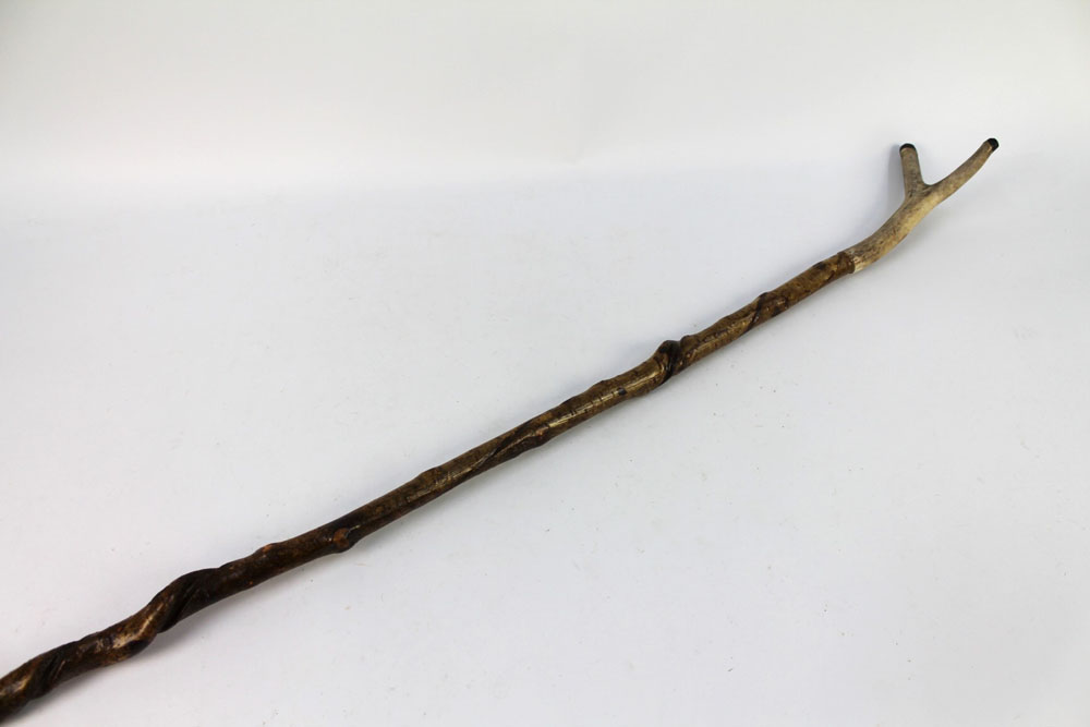 A hazel shafted walking stick with a honeysuckle twisted shaft and stag antler handle.