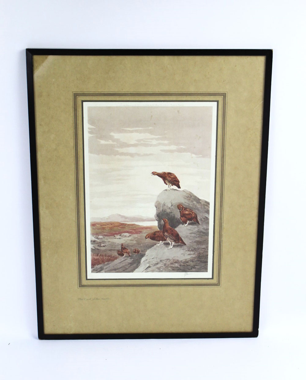 John Cyril Harrison (1898-1985), a signed print "The Cock Of The North" with red grouse, - Image 2 of 3