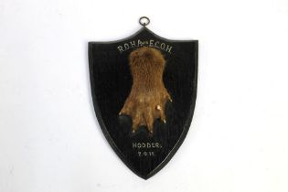 Taxidermy - An otter pad mounted on an oak shield,