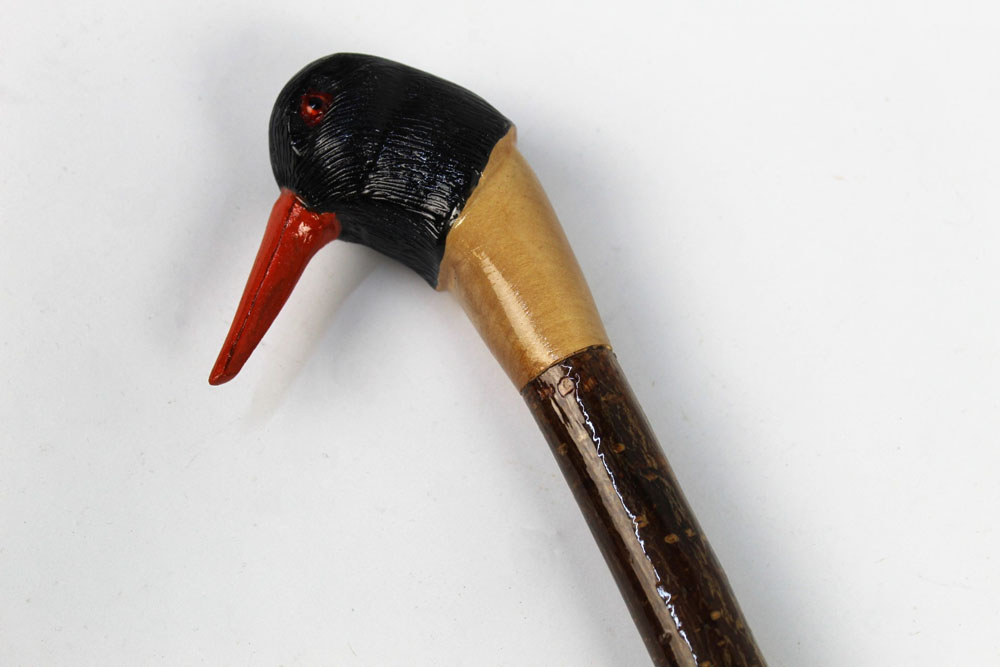 A walking stick with carved wooden handle in the form of an oyster catcher,