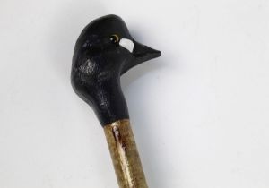 A walking stick with carved wooden handle in the form of a golden eye duck, length 142 cm.