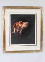 Karen Davis, signed limited edition print, foxhounds head, 15/395, 51 x 42 cm framed and mounted.