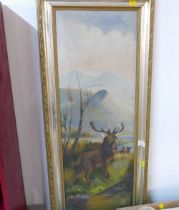 Vintage oil on canvas, stag, in gilt frame,