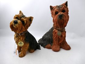 Barker's Yorkshire Terrier Model No.