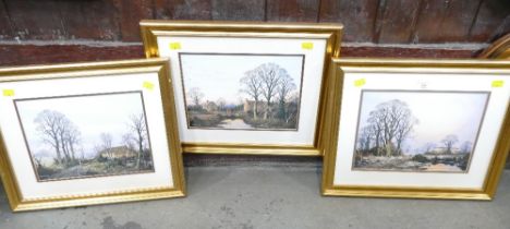 Three Vincent Selby prints,