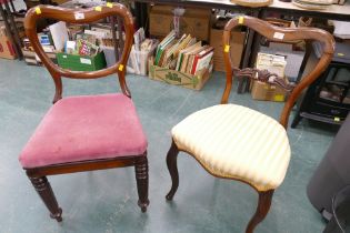 Two Victorian rosewood occasional chairs