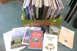 Lake District books and English topography