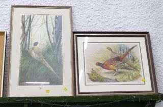 Two prints of pheasants