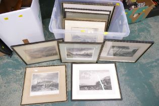 Nine framed Victorian prints