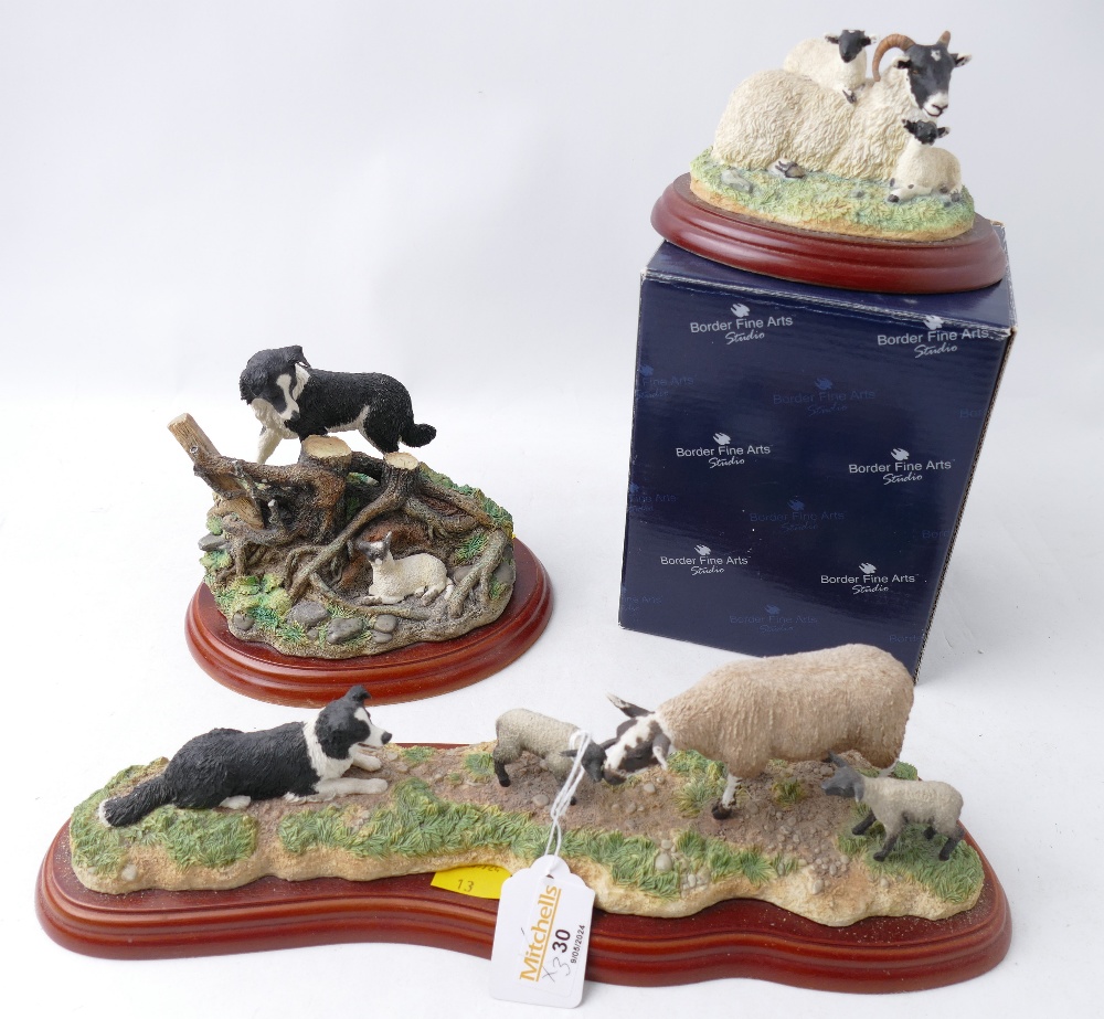 Three Border Fine Arts figures of sheep and Border Collies