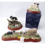 Three Border Fine Arts figures of sheep and Border Collies