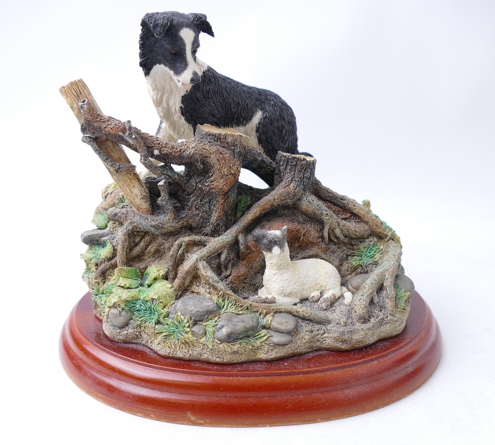 Three Border Fine Arts figures of sheep and Border Collies - Image 3 of 4