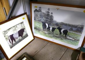 Signed print "Miss Flora's Belties" picture of cows, 64 cm x 47 cm,