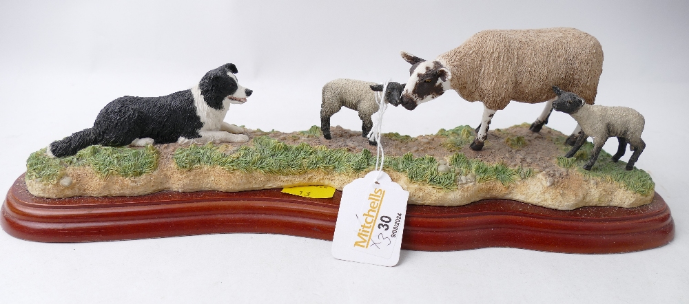 Three Border Fine Arts figures of sheep and Border Collies - Image 4 of 4