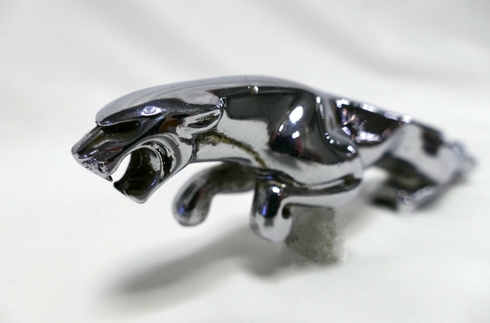 Jaguar chrome leaping car mascot marked - Image 2 of 5