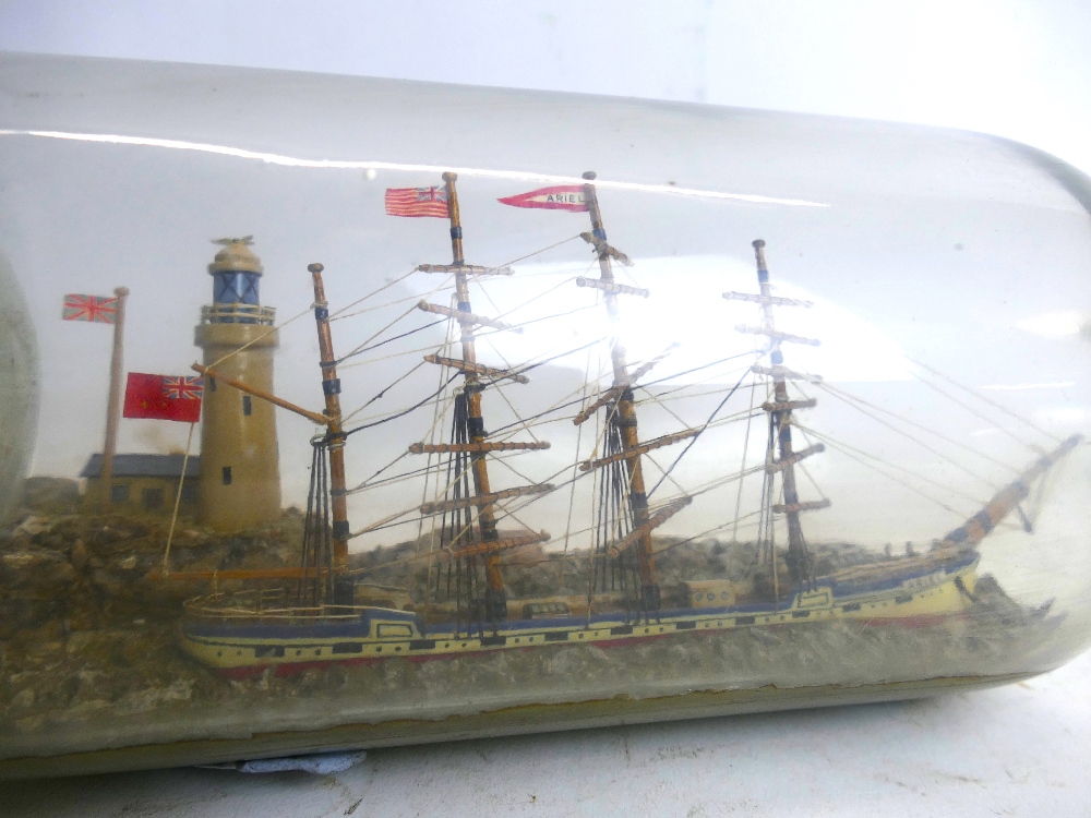 Two model ships in bottles. Largest bot - Image 2 of 2