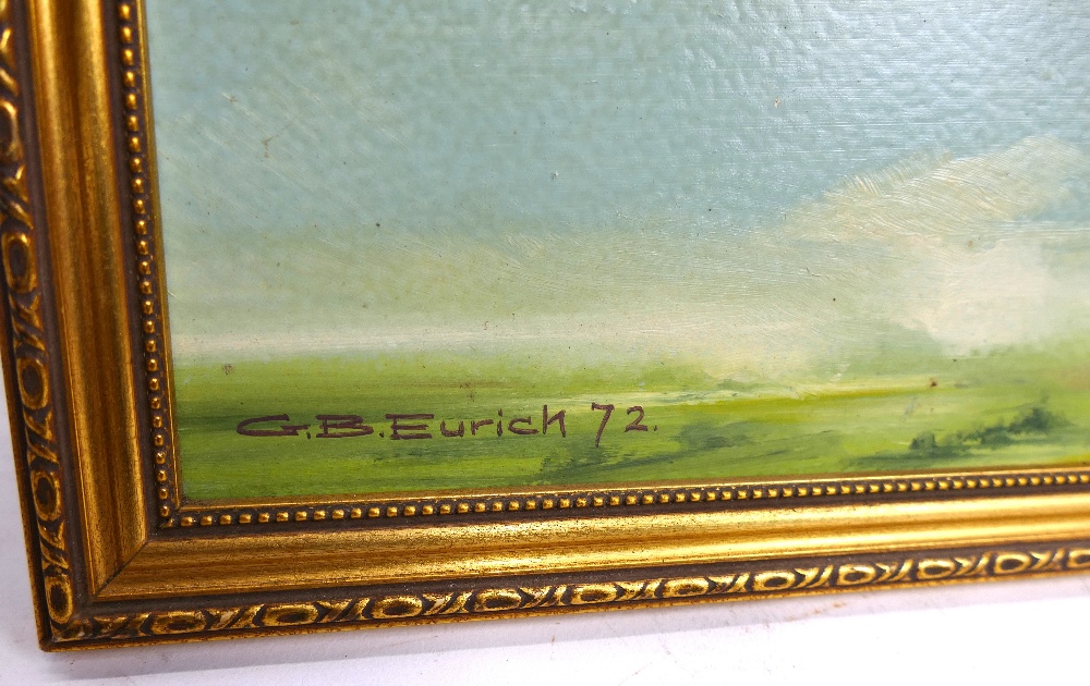 Framed oil on board picture, bi-plane G- - Image 3 of 3