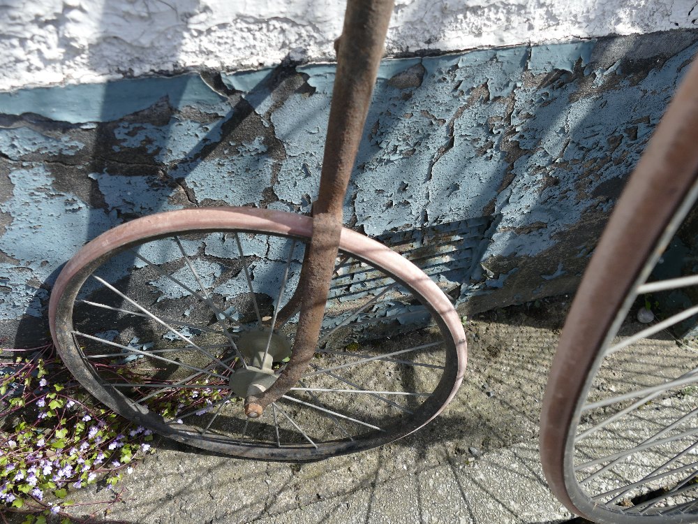 Penny Farthing bicycle with newly replac - Image 6 of 7