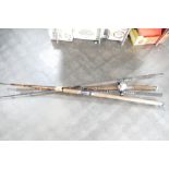 Bundle of fishing rods,