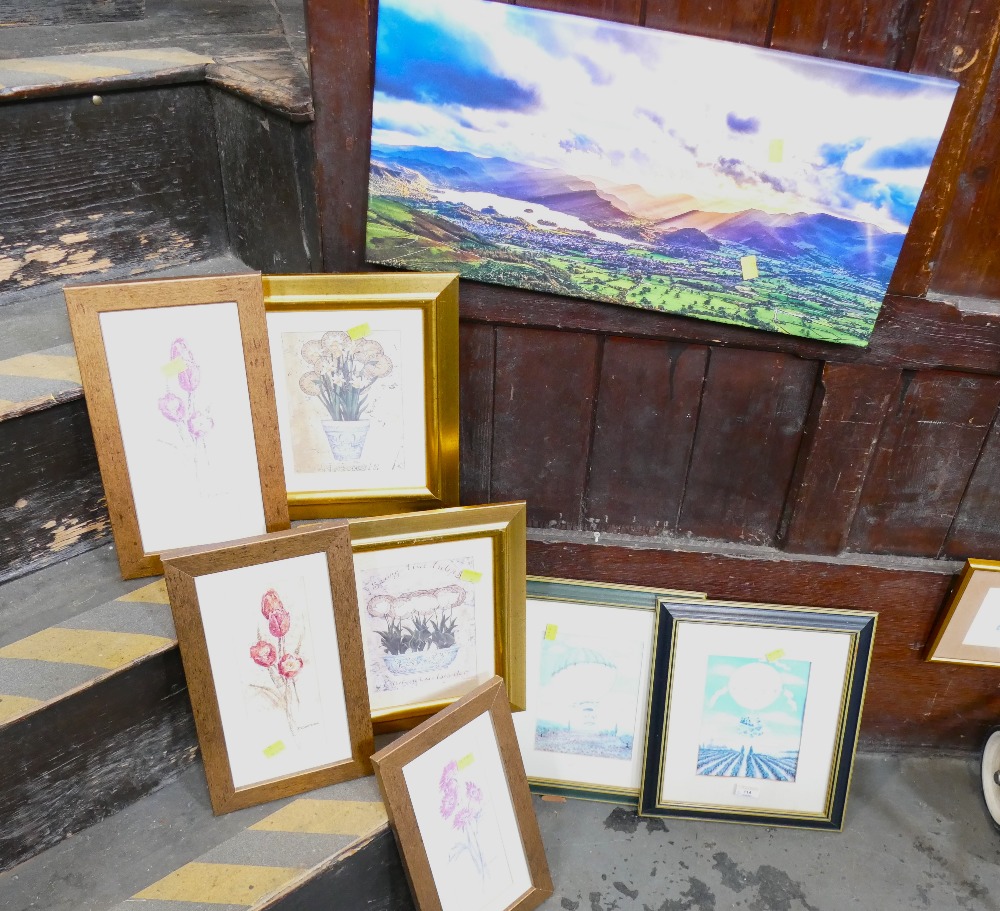 Quantity of pictures and prints including hot air balloons and canvas of Keswick