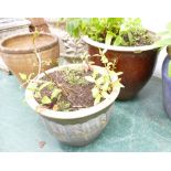 Large brown glazed garden planter and similar smaller blue glazed planter