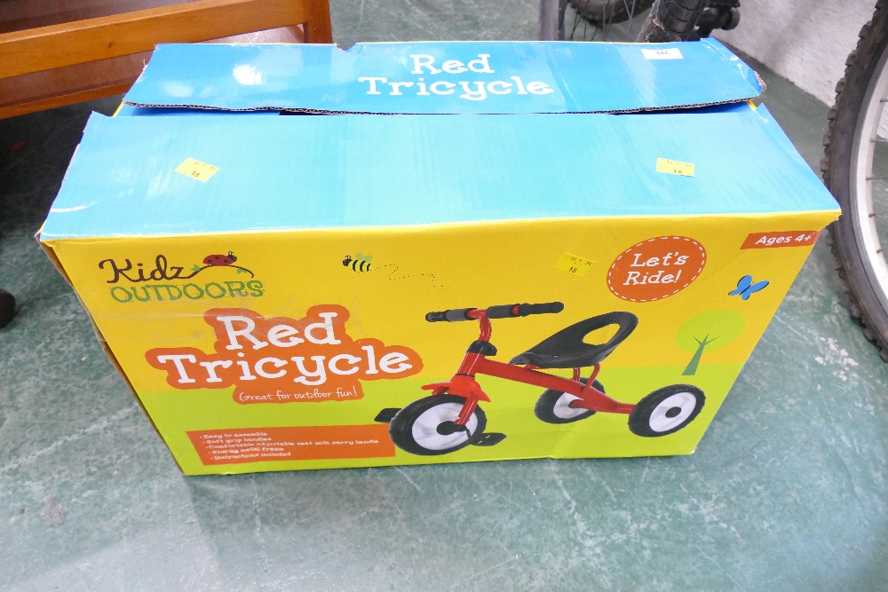 Kids outdoors red tricycle,