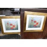 Pair of poppy prints in gold coloured wooden frames,