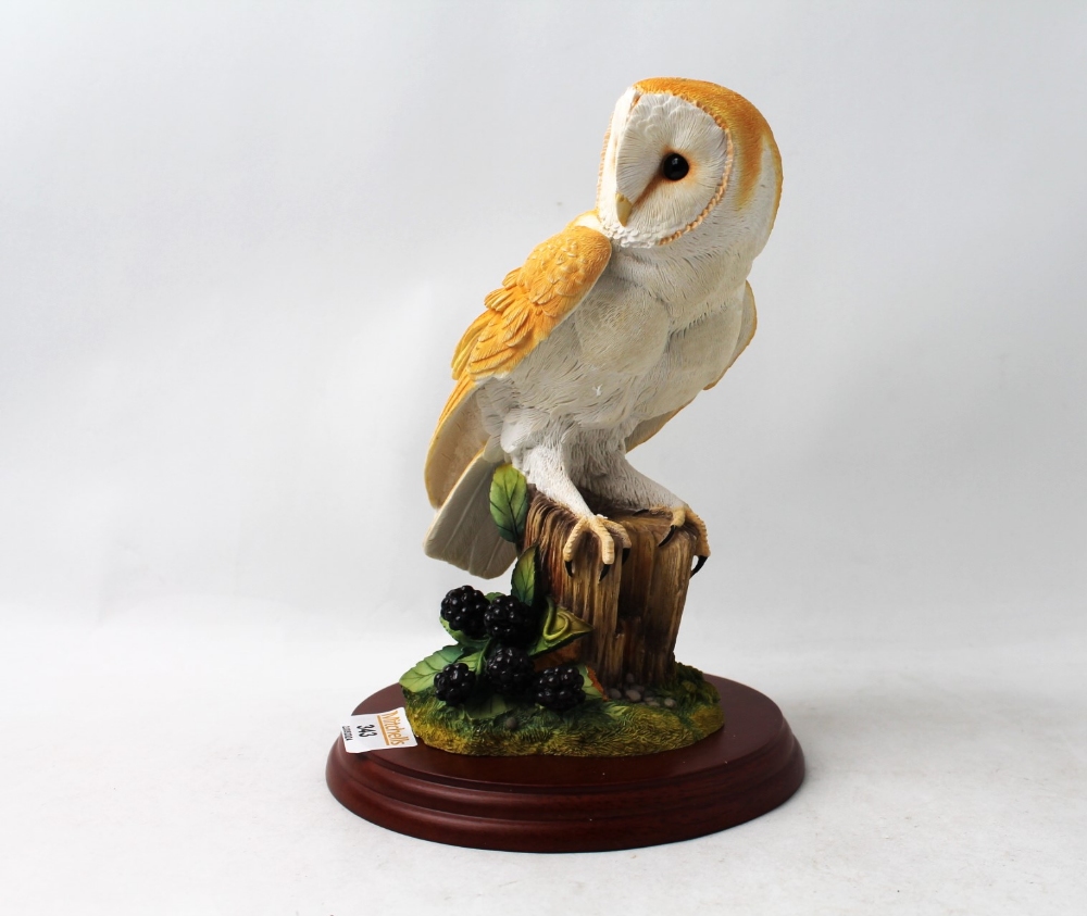 Border Fine Arts Barn Owl and Brambles by Russell Willis with box - Image 2 of 6