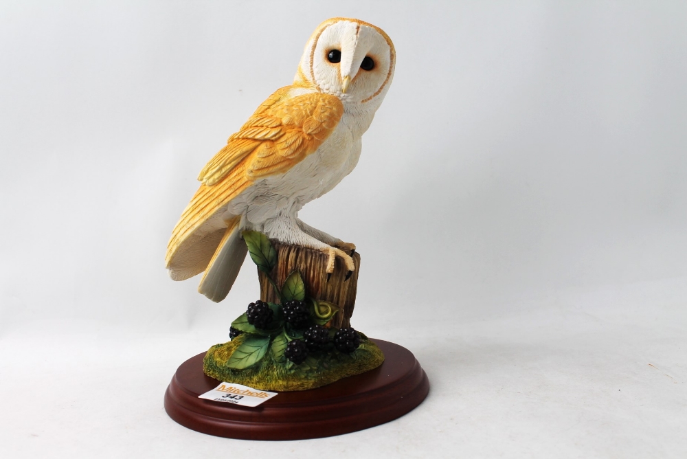 Border Fine Arts Barn Owl and Brambles by Russell Willis with box