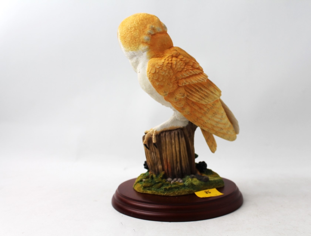 Border Fine Arts Barn Owl and Brambles by Russell Willis with box - Image 3 of 6