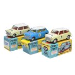 Corgi trio of No. 227 Mini Cooper Competition Model x 2 plus No. 333 of same. All display