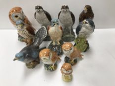 A collection of various Beswick bird of prey figures to include "Barn Owl" (No.
