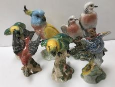 A collection of Beswick Parrot and other bird figurines to include "Red Tanager" (No.