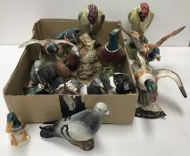 A collection of Beswick bird figures to include "Magpie" (No. 2305), "Pigeon", "Jay" (No.