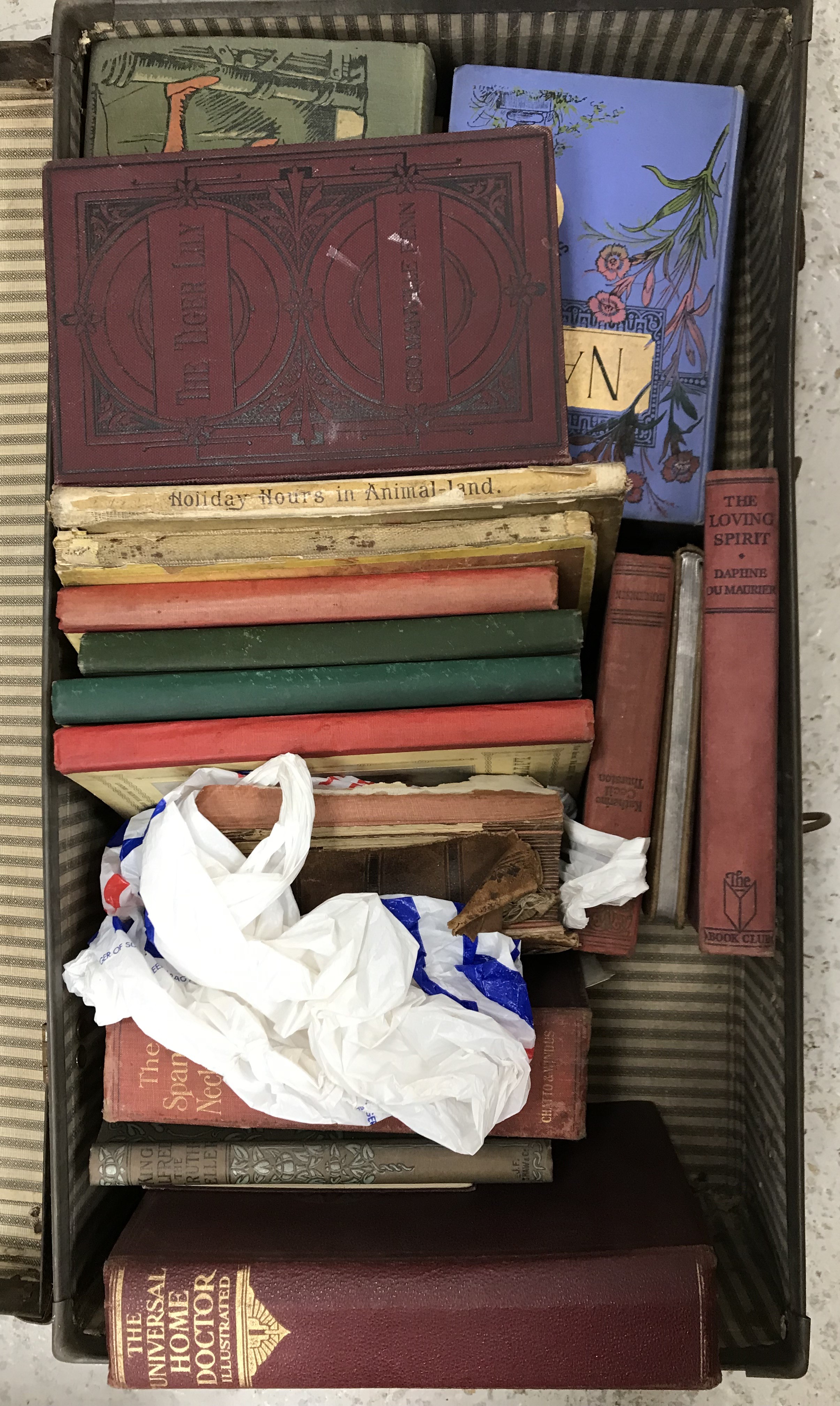 A suitcase containing a Victorian leather bound photo album containing various Victorian photos
