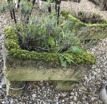 Two stone troughs on stone blocks,