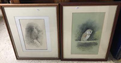 ROBIN ARMSTRONG "Barn owl on a branch", watercolour heightened with white, signed lower right,