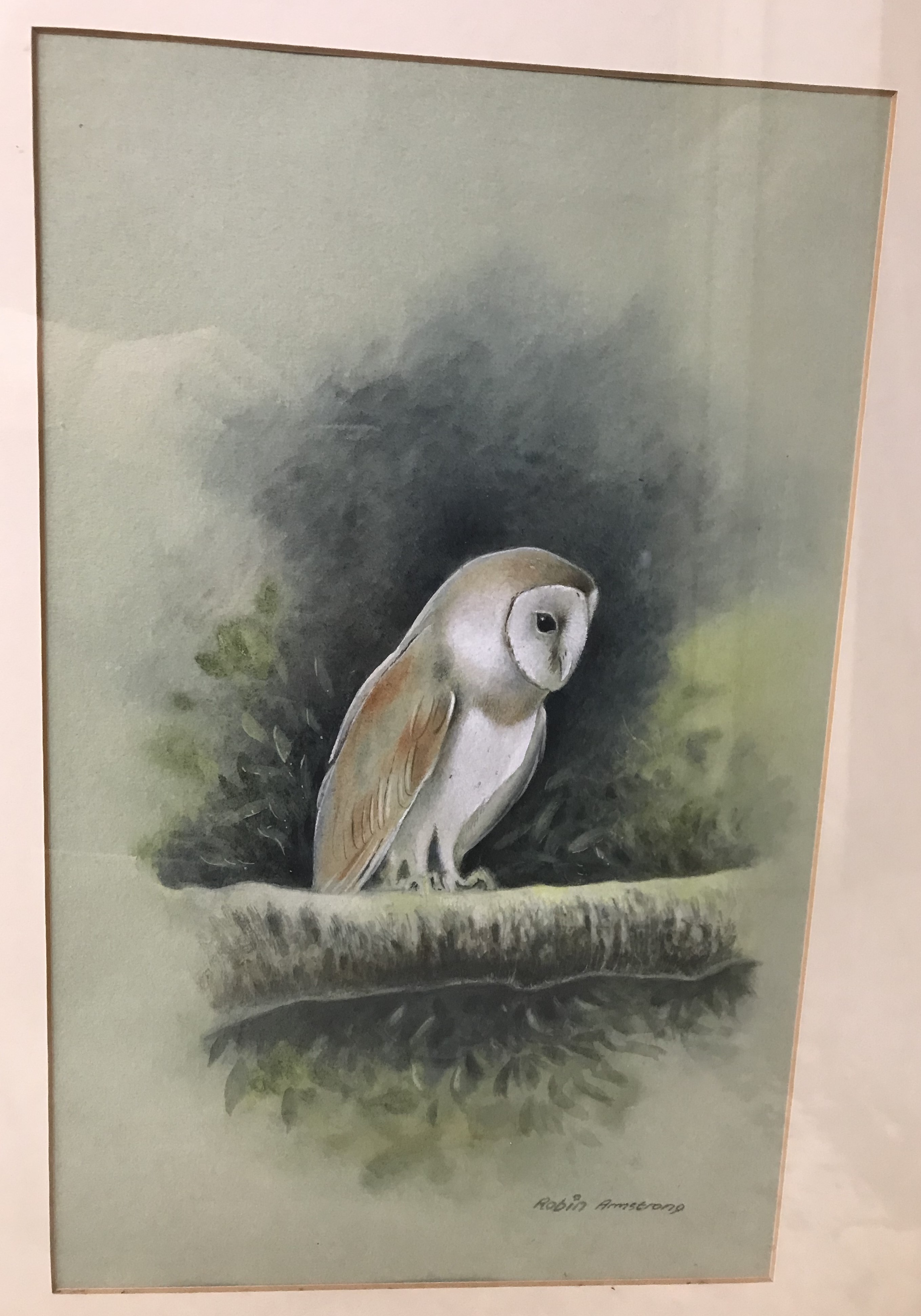 ROBIN ARMSTRONG "Barn owl on a branch", watercolour heightened with white, signed lower right, - Image 3 of 5