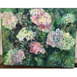 LILIA ORLOVA-HOLMES "Bed of flowers", study of pink hydrangea, oil on canvas,