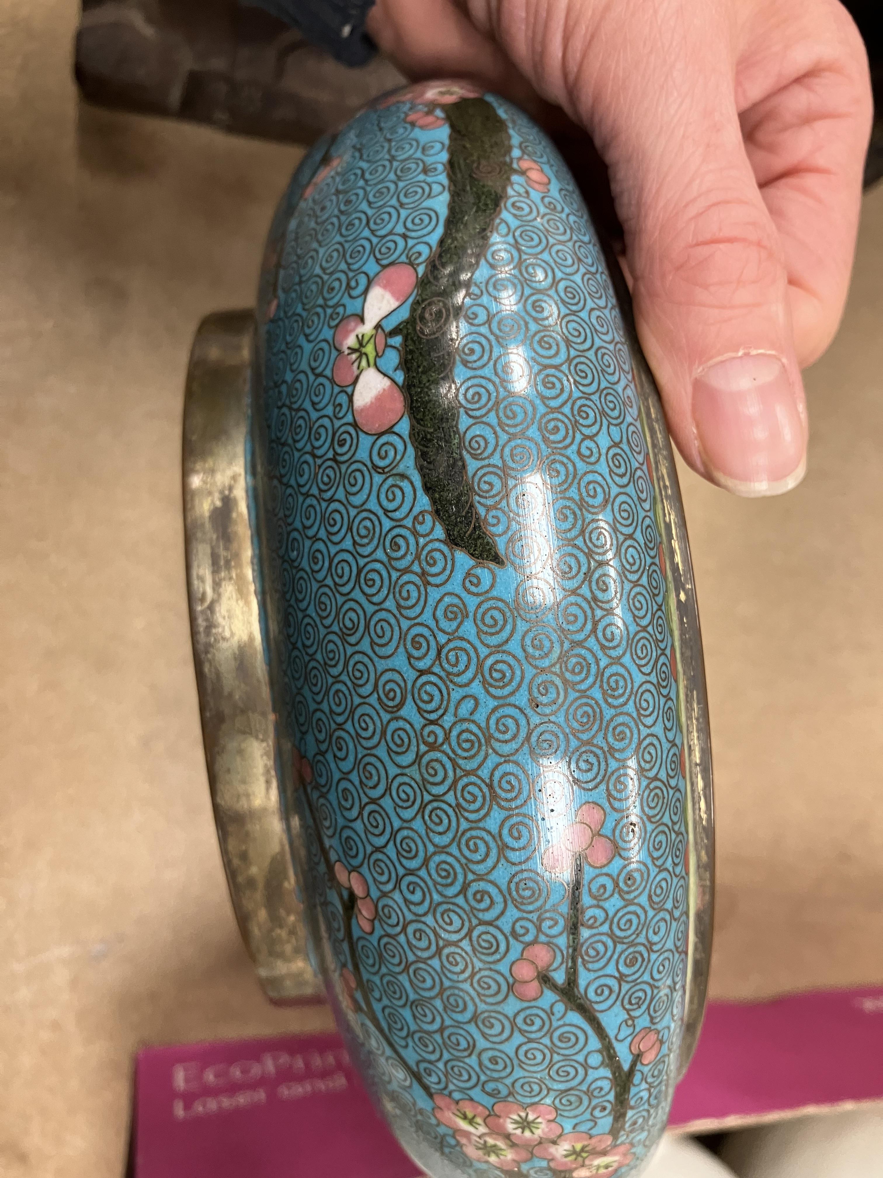 A Chinese turquoise ground cloisonné shallow bowl decorated with branches of prunus blossom raised - Image 13 of 24