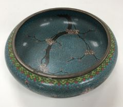 A Chinese turquoise ground cloisonné shallow bowl decorated with branches of prunus blossom raised