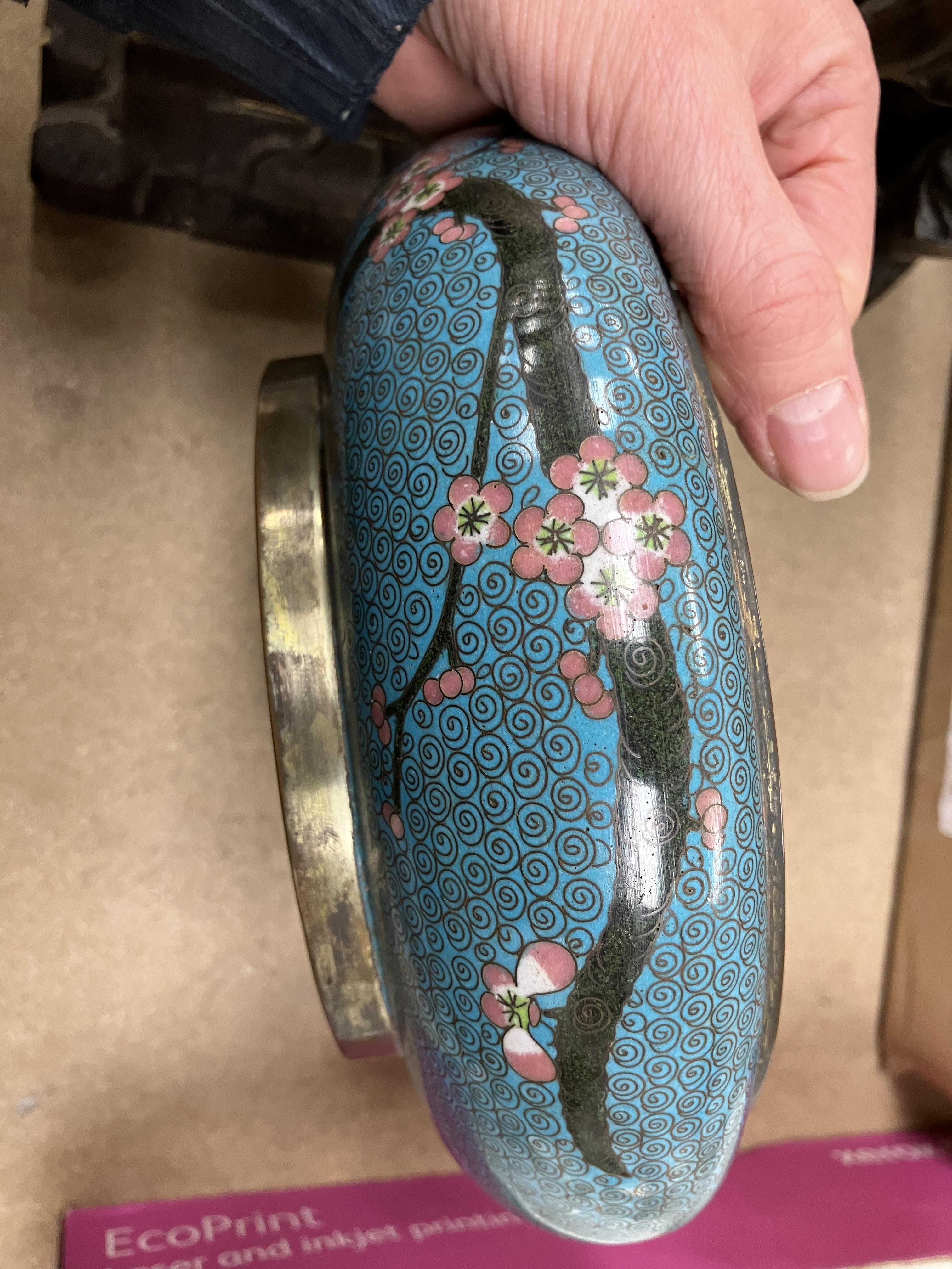 A Chinese turquoise ground cloisonné shallow bowl decorated with branches of prunus blossom raised - Image 14 of 24