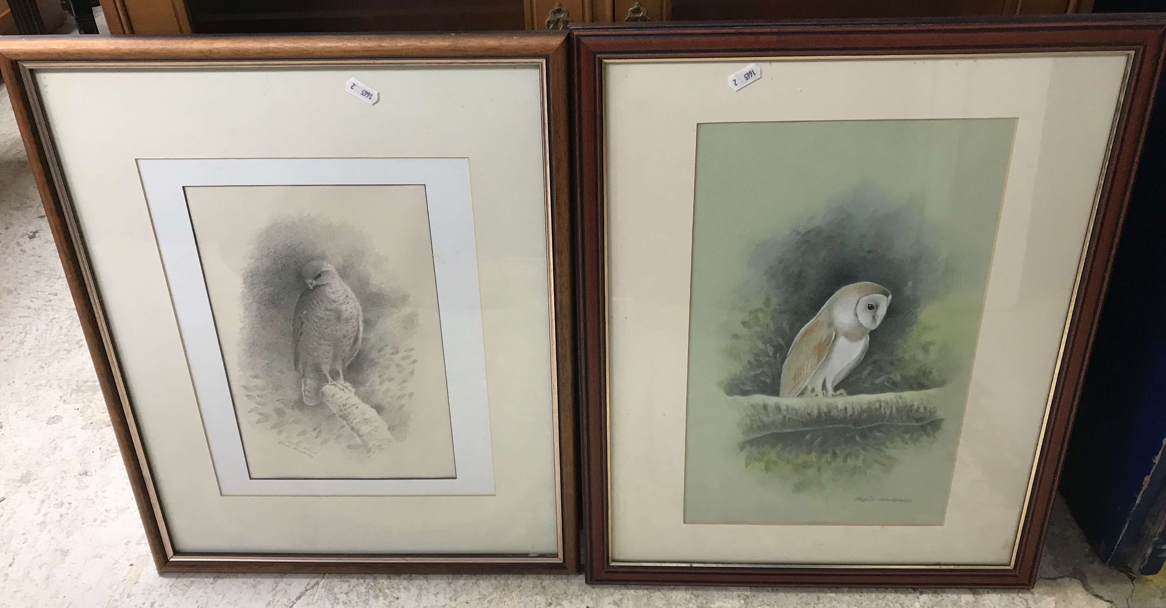 ROBIN ARMSTRONG "Barn owl on a branch", watercolour heightened with white, signed lower right,