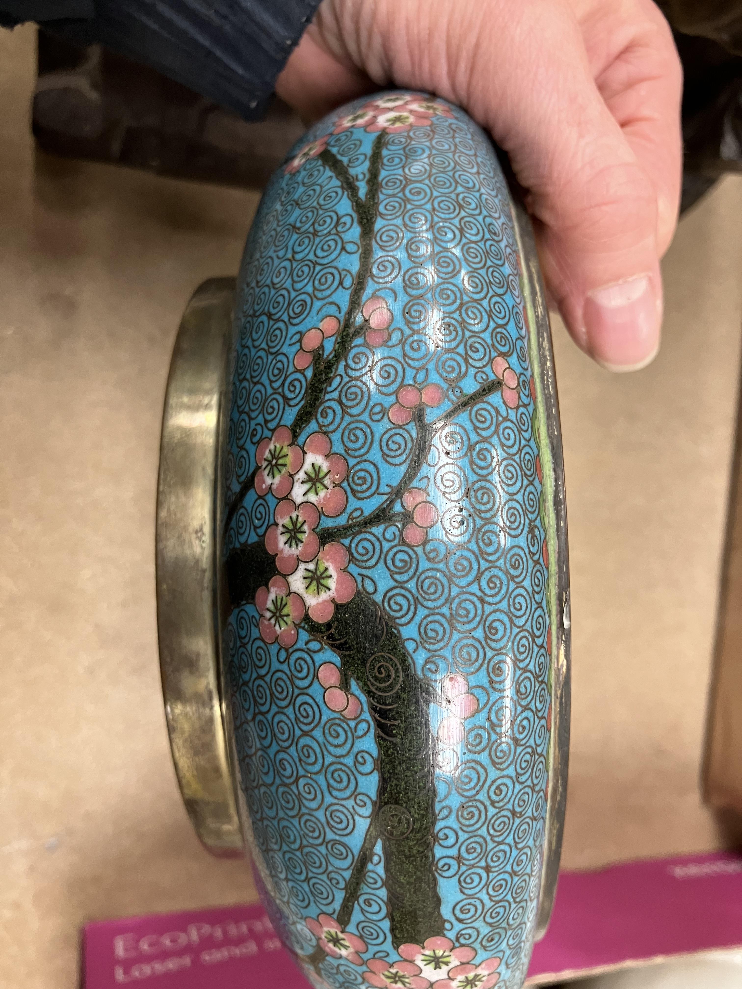 A Chinese turquoise ground cloisonné shallow bowl decorated with branches of prunus blossom raised - Image 16 of 24