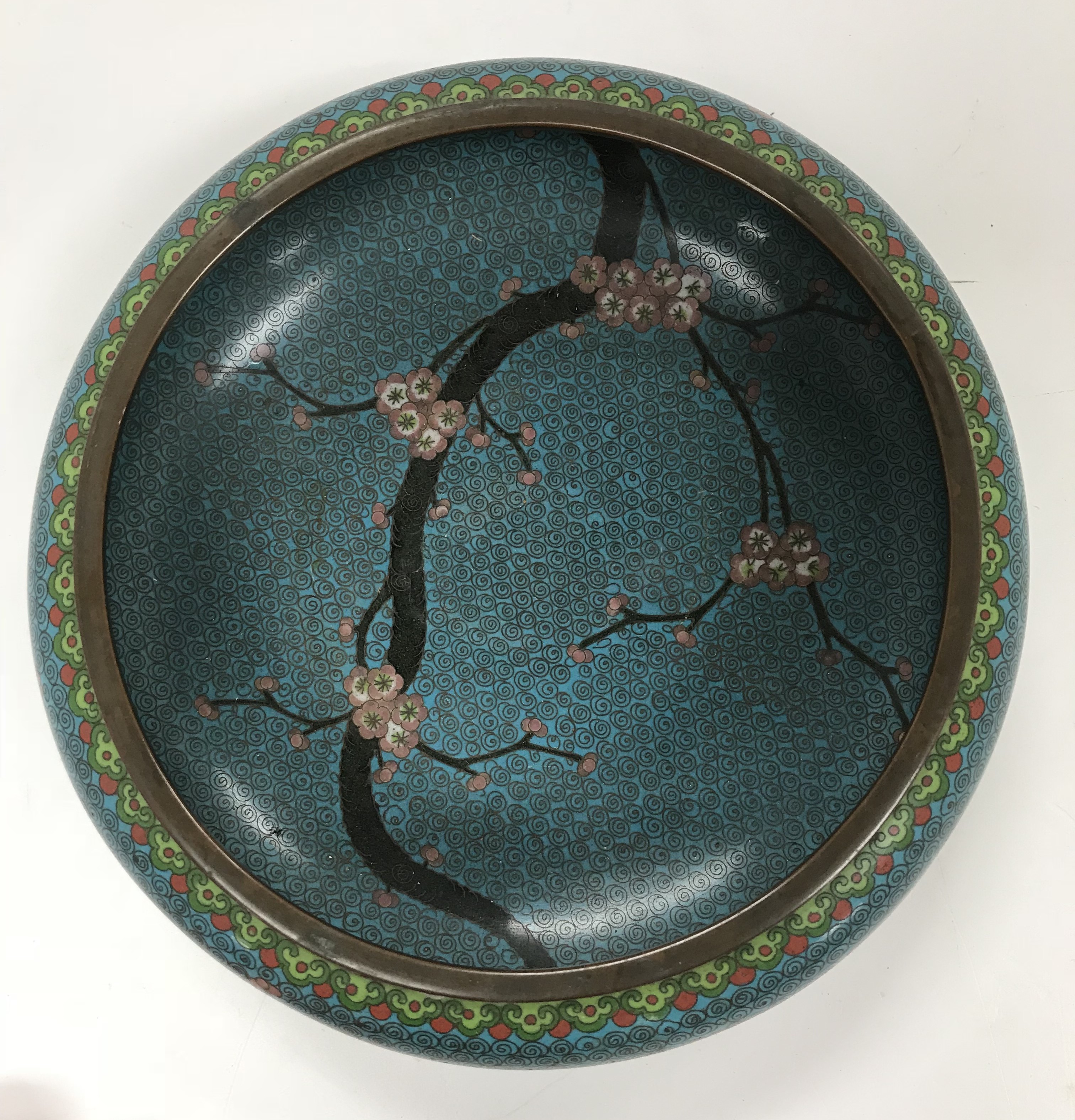 A Chinese turquoise ground cloisonné shallow bowl decorated with branches of prunus blossom raised - Image 2 of 24