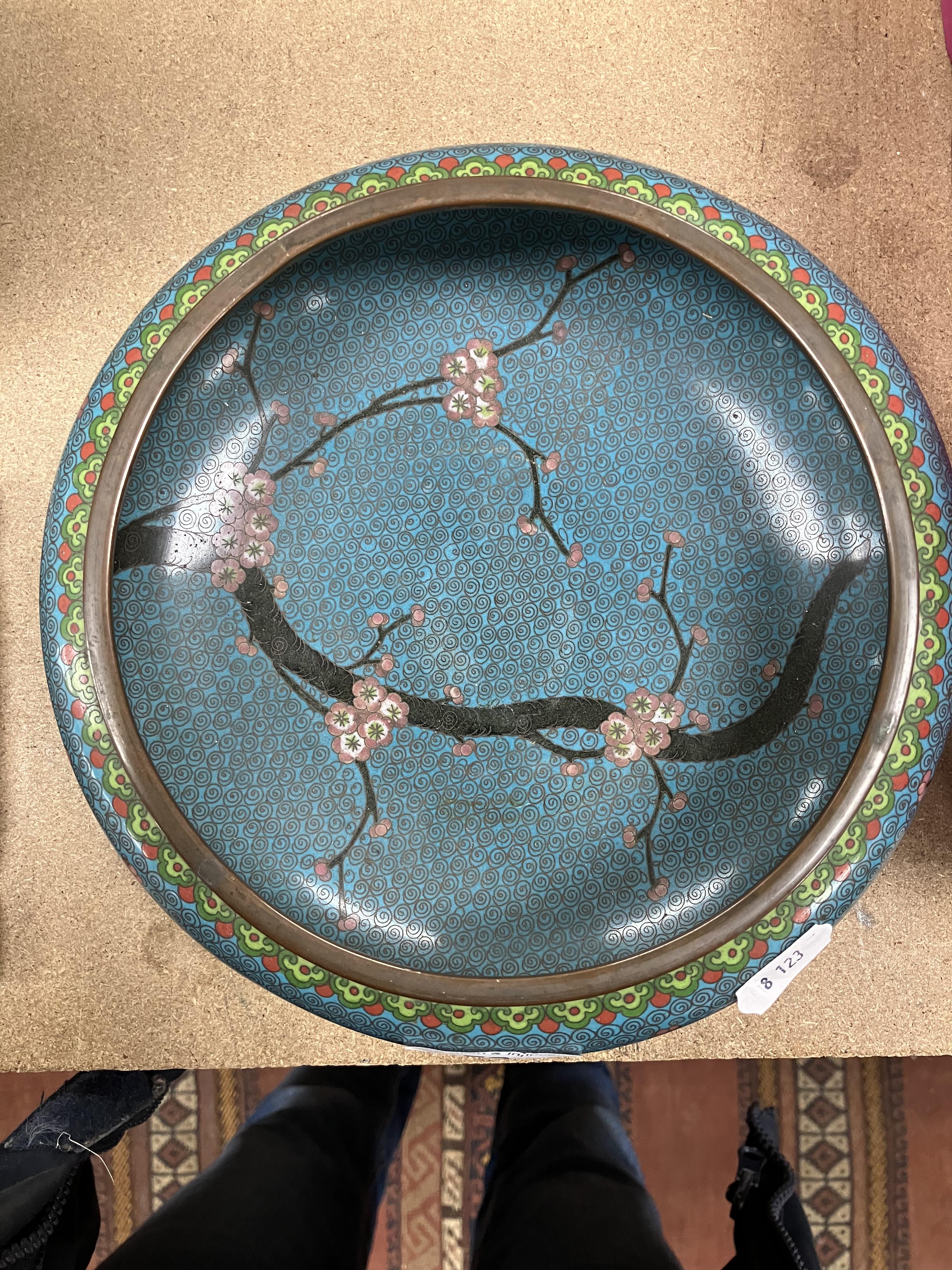 A Chinese turquoise ground cloisonné shallow bowl decorated with branches of prunus blossom raised - Image 8 of 24