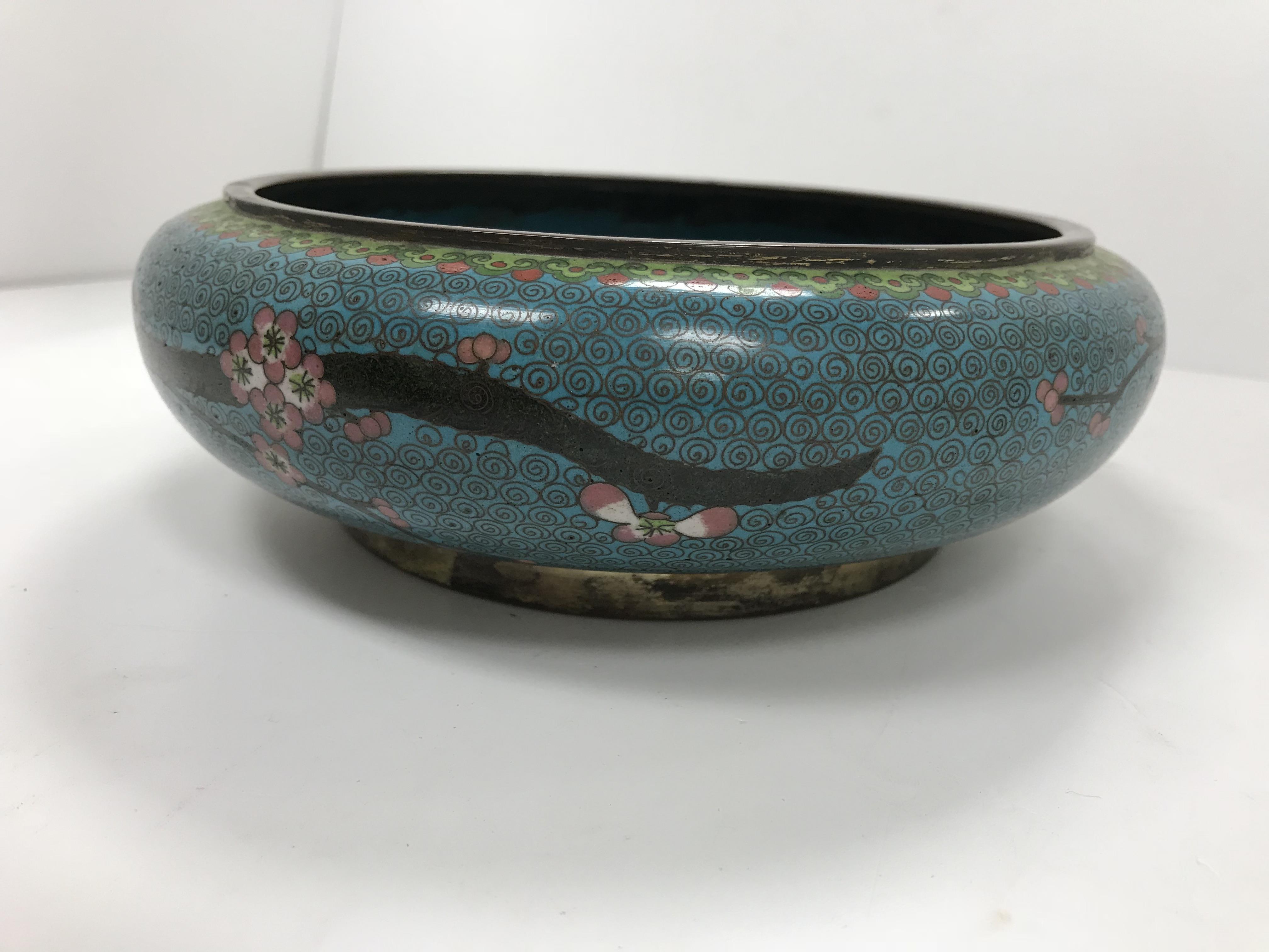 A Chinese turquoise ground cloisonné shallow bowl decorated with branches of prunus blossom raised - Image 3 of 24