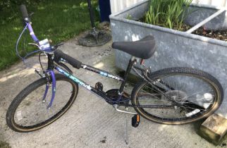 A Thunder Ridge girl's mountain bike