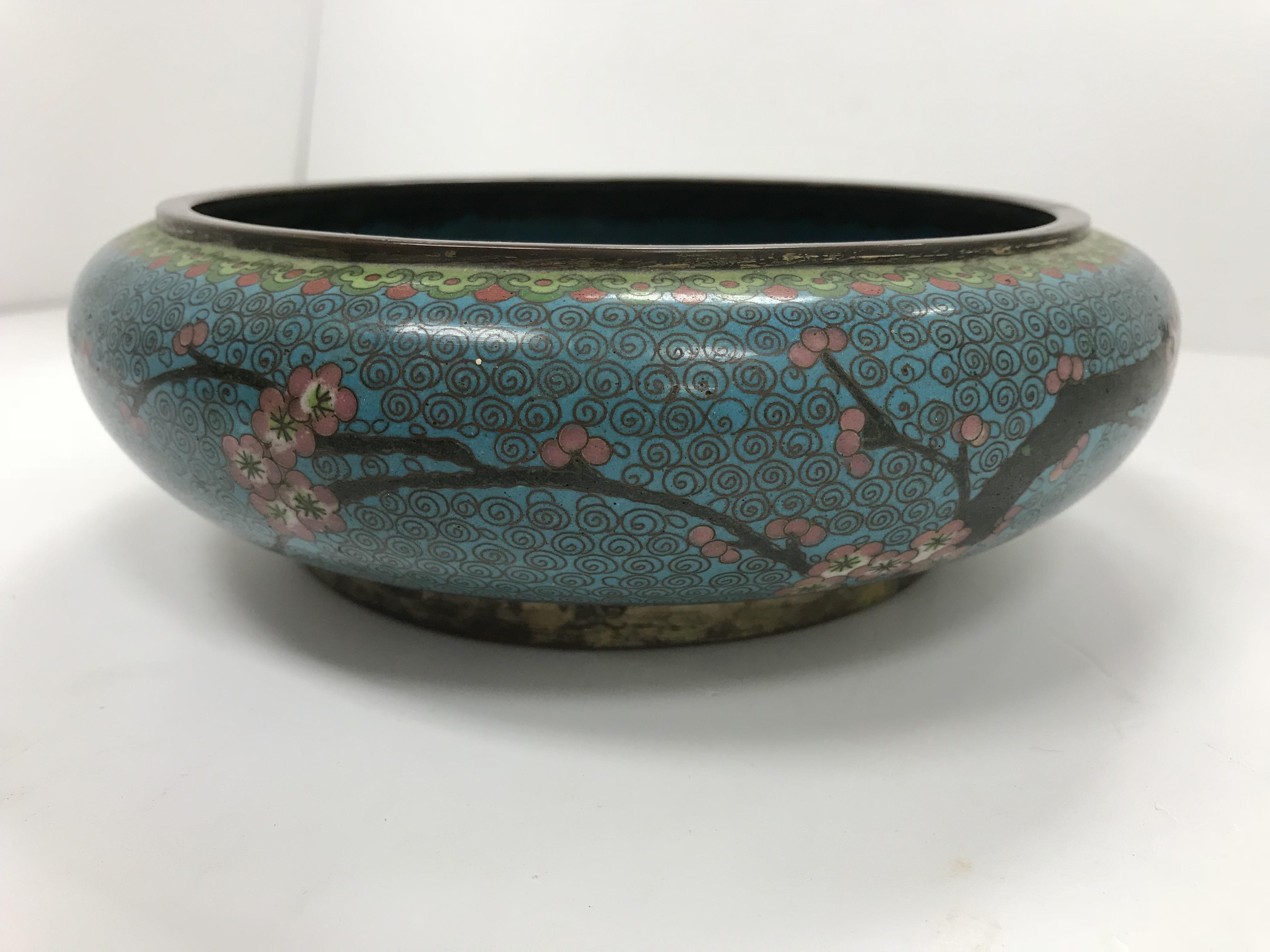 A Chinese turquoise ground cloisonné shallow bowl decorated with branches of prunus blossom raised - Image 4 of 24
